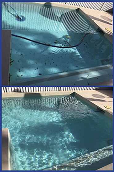 Mobile Pool Doctor Leaves